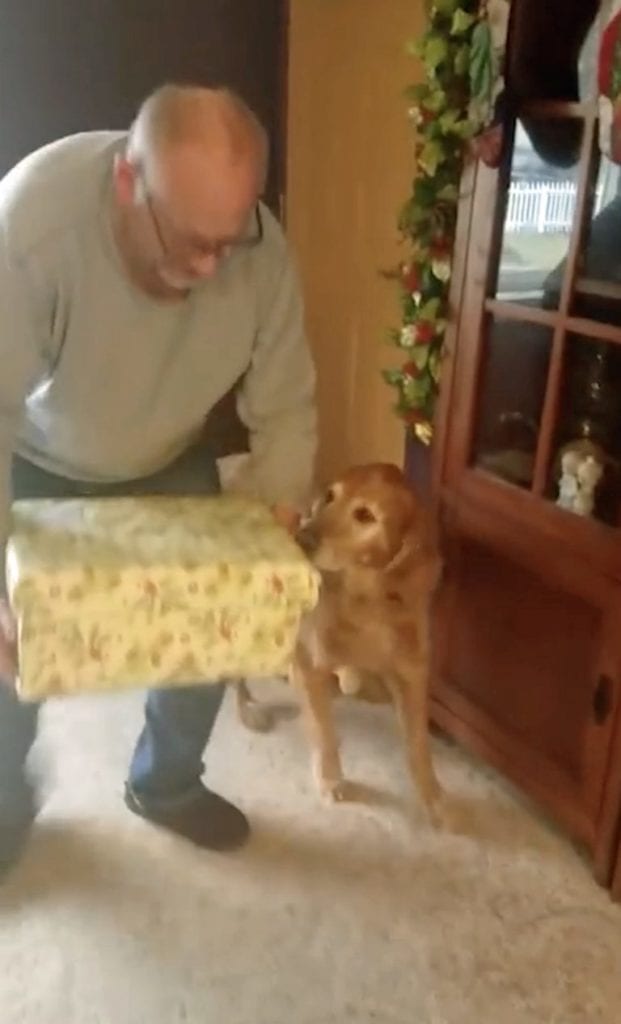 Старый пес скучал по своей умершей подруге, а на Рождество случилось чудо