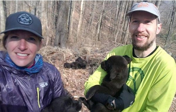 Совершая пробежку в лесу, пара случайно спасла 5 щенков