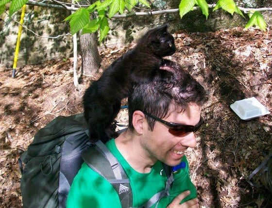 Группа альпинистов нашла в лесу котенка, а тот - любящего хозяина
