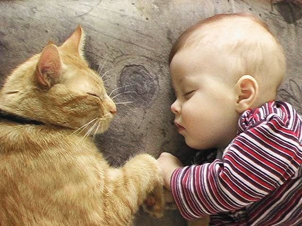 22 фотодоказательства, что детство с кошкой вдвойне счастливее