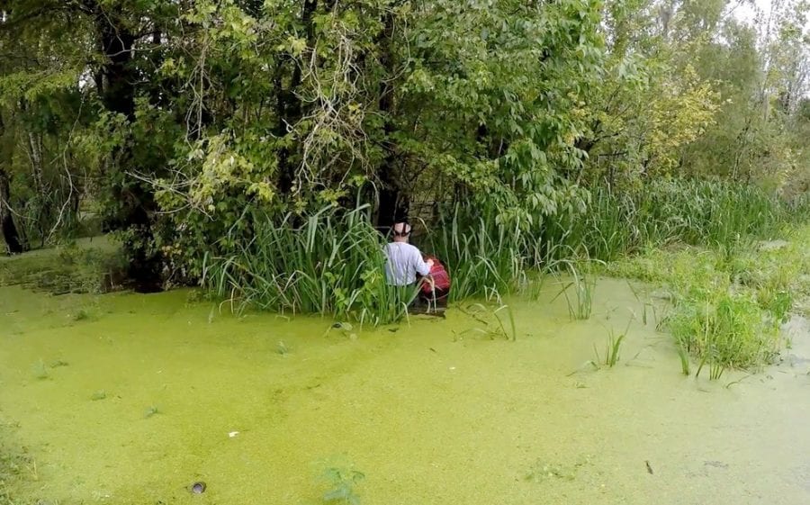 Человек полез в страшное болото, чтобы спасти кота