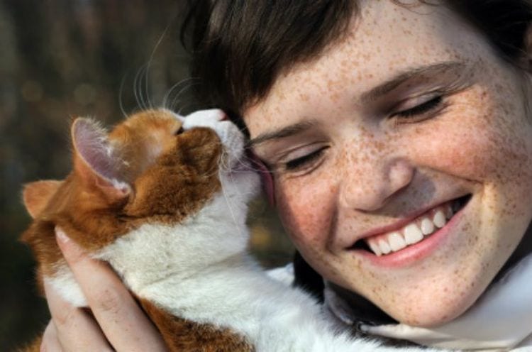 15 раздражающих признаков того, что кошка признается вам в любви