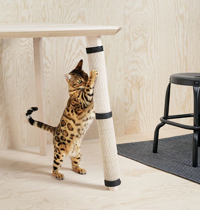 Новая коллекция IKEA понравится вашим питомцам (ФОТО+ВИДЕО)