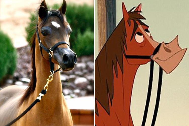Новая сенсационная порода лошадей с мордой мультяшного героя