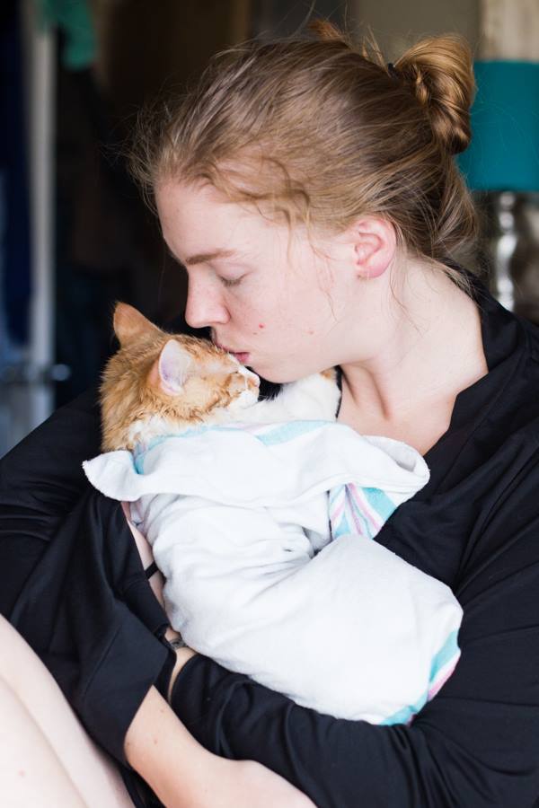 Пара выложила в Интернет фотосессию шуточных «родов» кота