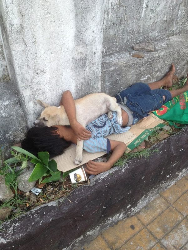 Трогательная дружба бездомного мальчика и бродячего пса