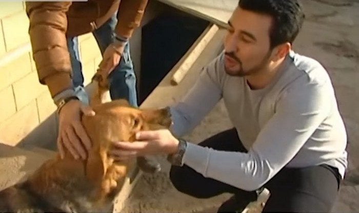 Молодой человек спас уже больше 350 искалеченных собак