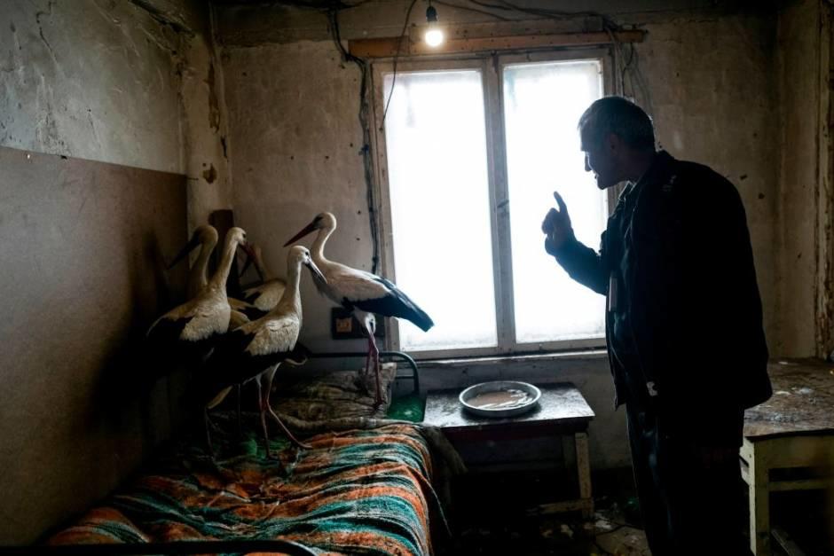 Простой работяга начал спасение аистов от мороза по всей Болгарии