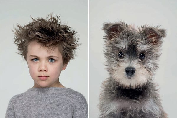 13 фотодоказательств, что собаки похожи на своих хозяев