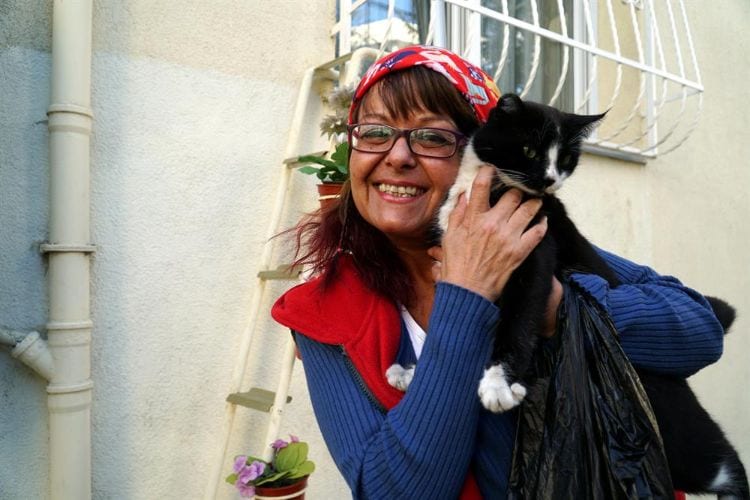 Женщина сделала лестницу, чтобы бездомные кошки могли прятаться в ее доме во время холода