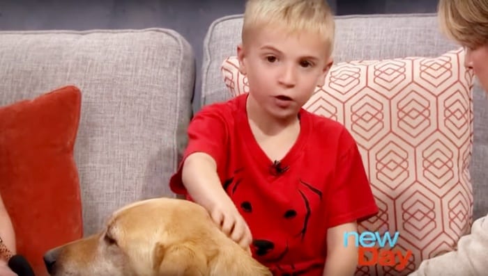 6-летний мальчик спас от cмерти уже больше 1000 собак