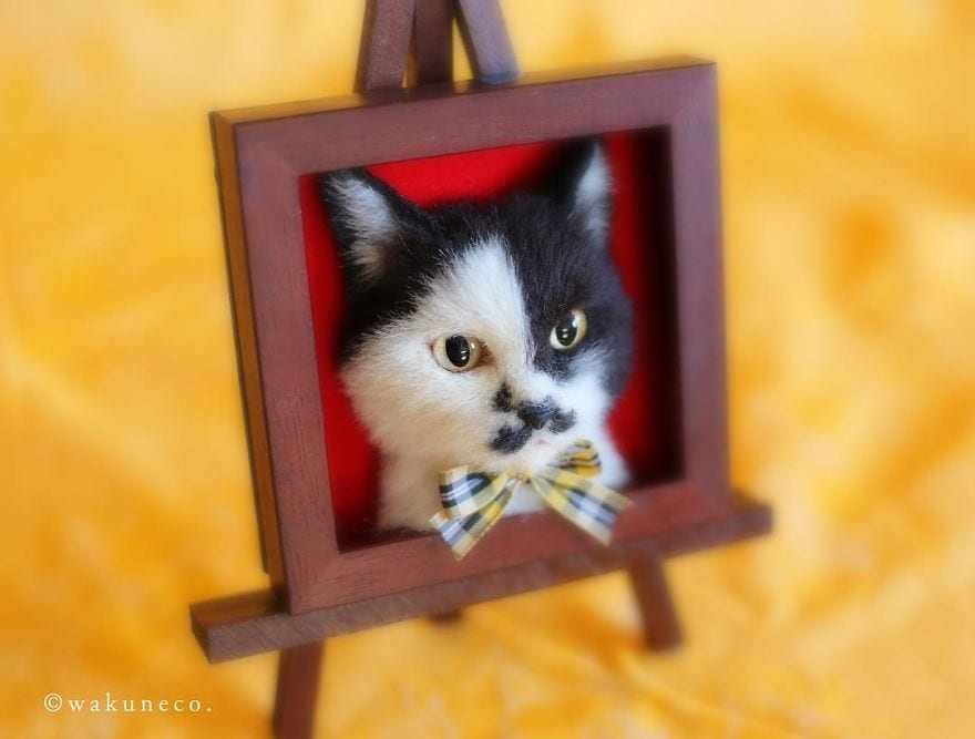 Реалистичные 3d-портреты кошек из их шерсти от японского художника