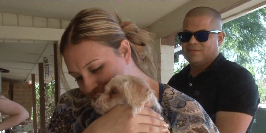 Женщина, потерявшая собаку 9 лет назад, получила неожиданное сообщение в Facebook