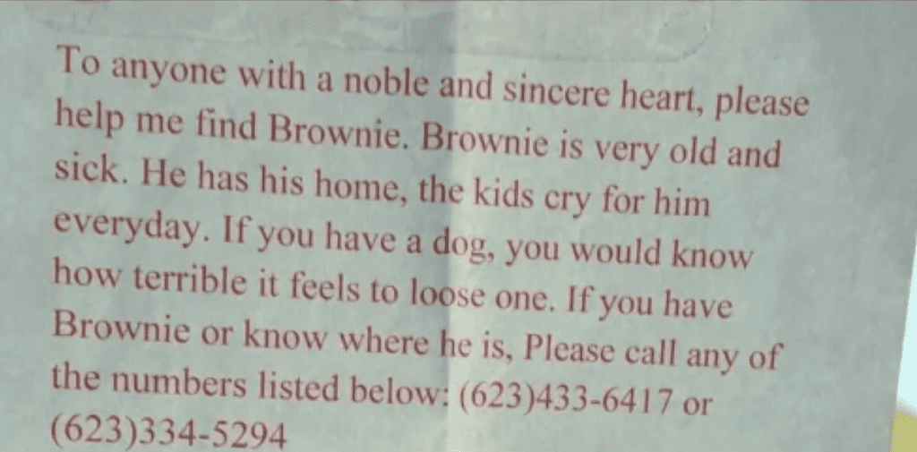 Женщина, потерявшая собаку 9 лет назад, получила неожиданное сообщение в Facebook