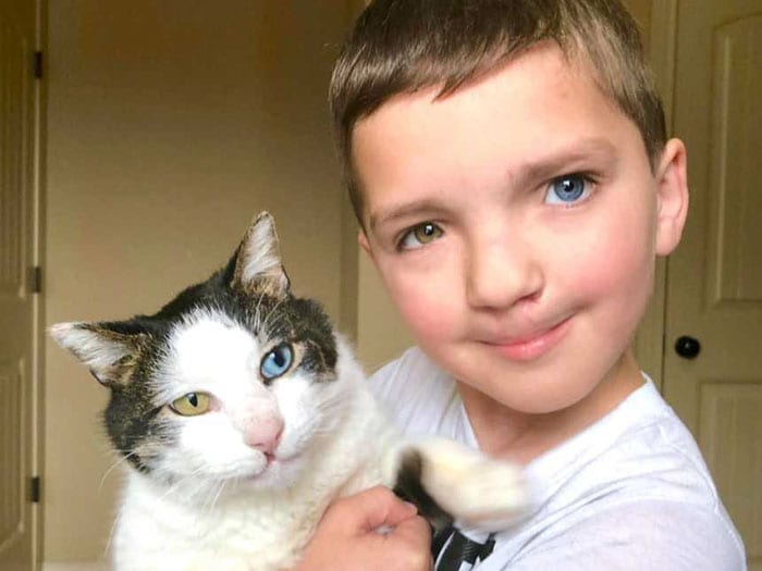 Дружба семилетнего мальчика и кошки с одинаковыми особенностями