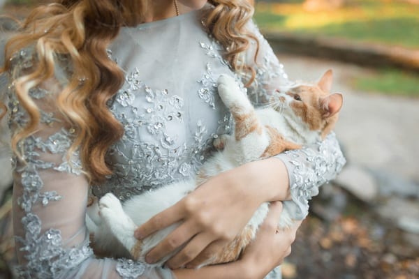 41 фото котов, которых пригласили на свадьбу