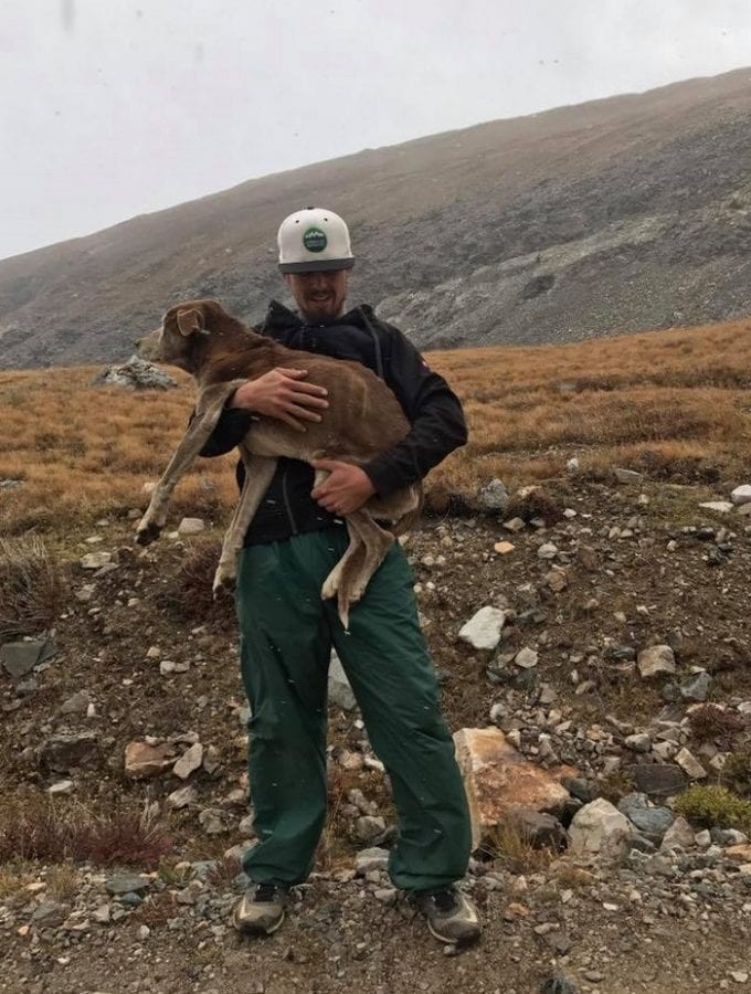 Пара нашла в горах собаку, которую хозяева уже считали умeршей