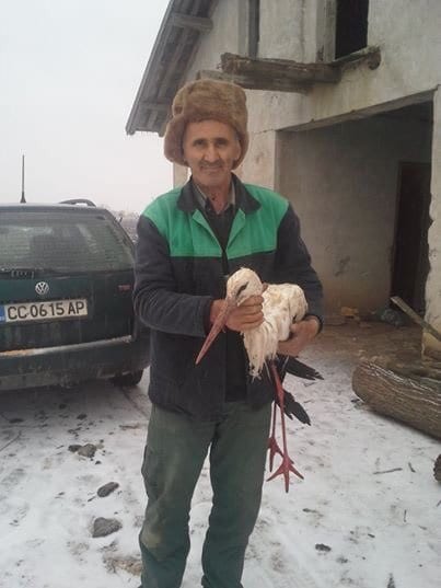 Простой работяга начал спасение аистов от мороза по всей Болгарии