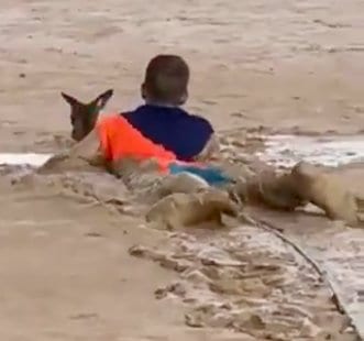 Двое парней катались на мотоциклах, когда заметили в грязи увязшего кенгуру
