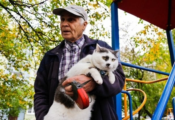 За кота Лёву из Калининграда владельцу предлагали полмиллиона рублей и авто